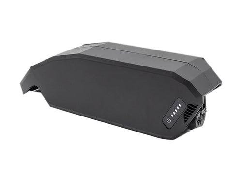 E-Bike Vision Akku